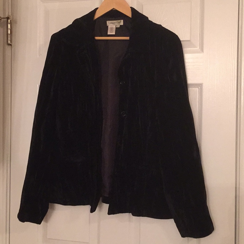 Cold Water Creek Velvet burnout stripe jacket L